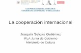 Joaquín Selgas Gutiérrez - UCM · antecedentes y realidades • El ámbito internacional • Principales instituciones, programas y proyectos ... • Extensión de los servicios