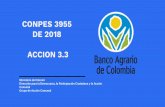 CONPES 3955 DE 2018 ACCION 3 · CONPES 3955, Objetivo 3, acción 3.3: “Capacitar a las OAC en educación económica y financiera para facilitar el acceso a recurso de financiación