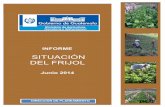 SITUACIÓN DEL FRIJOLCuadro 5 Guatemala: Abastecimiento de frijol Período 2013-2014 Concepto Unidad de medida Frijol (miles qq) 1 Producción estimada qq 4,966.70 2 Importaciones