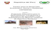 República del Perú - UNIcybertesis.uni.edu.pe/bitstream/uni/1583/1/luque_cm1.pdf · 2017. 6. 3. · 1 República del Perú Centro para el Desarrollo Económico, Social y Ambiental