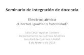 Seminario de integración de docenciadepa.fquim.unam.mx/amyd/archivero/Semana2a_22803.pdf3.2. Potencial electroquímico. Potencial químico y potencial eléctrico en las funciones