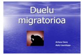 Duelu migratorioa · 2013. 11. 28. · Duelu migratorio motak 1. Familia eta lagunekiko urruntasuna : emigranteak ez du berak maite duen jendearen laguntasuna . 2. Jatorrizko hizkuntzarekiko