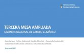 TERCERA MESA AMPLIADA - Inicio | Argentina.gob.ar€¦ · de contenidos Presentación final Mesa Mesa ampliada . Inventario de Gases de Efecto Invernadero . Resultados del Segundo