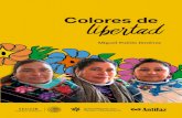 Colores de Libertad Accesible - Antifazantifaz.org.mx/wp-content/uploads/2018/11/Colores... · 7 Presentacin En este tomo de la coleccin Crnicas y Testimonios se relata el encuentro