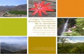 Yungas Peruanas – Bosques montanos de la vertiente oriental de los Andes del Perú ... · 2016. 12. 27. · Yungas Peruanas – Bosques montanos de la vertiente oriental de los