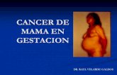 Cancer de mama en gestacion...Cancer de mama y gestacion Cancer de mama es el segundo en el mundo asociado con gestacion despues del cuello uterino Ocurre: 1 de casa 10,000 de 3,000