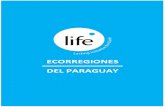 ECORREGIONES DEL PARAGUAY - Instituto LIFEinstitutolife.org/wp-content/uploads/2018/11/Ecorregiones_del_Paraguay.pdfChaco Seco 17.451.547 11.853.130 67,9 Chaco Húmedo 12.795.464 2.704.295