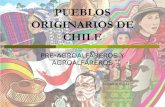 PUEBLOS ORIGINARIOS DE CHILE pueblos. Clase 1... · nuestros pueblos originarios. Tiwanaku: Junto a la sociedad pukará ejercieron una notable influencia en el norte chileno. Se trata