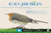 CO2RUNA - A Coruña · 2020. 7. 13. · As actividades consistiron nunha charla que invitaba aos escolares a reflexionar sobre este tema. Fixeron fincapé tanto no valor a escala