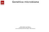 Genética microbiana · 2017. 5. 20. · Se asume como una población derivada de una única célula, y por ello dicha población posee idéntico genotipo Genética microbiana Estudia