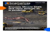 Special Summary | Minería y Metales Encuesta Minería 2020 ... · 5 ncuesta Minería 2020 u iene despus de la pandemia La encuesta se realizó en colaboración con la consultora