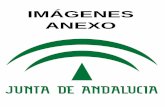 IMÁGENES ANEXO - Junta de Andalucía · 2016. 2. 6. · CASO I IMAGEN PREGUNTA Nº: 111 Página 4 de 5. CASO I IMAGEN PREGUNTA Nº: 112 CASO I IMAGEN PREGUNTA Nº: 113 Página 5