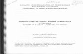 UCABbiblioteca2.ucab.edu.ve/anexos/biblioteca/marc/texto/AAP9666.pdf · postgrado en instituciones financieras anÁlisis comparativo del sistema cambiario en venezuela sistema de