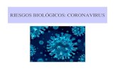 RIESGOS BIOLÓGICOS: CORONAVIRUS · riesgos biolÓgicos: coronavirus • El coronavirus SARS-CoV-2 es un virus nuevo, desconocido anteriormente en la patología humana, que pertenece