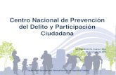 Centro Nacional de Prevención del Delito y Participación ...secretariadoejecutivosnsp.gob.mx/work/models/.../1/... · Centro Nacional de Prevención del Delito y Participación