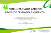 VOLUNTARIADO – CUIDADO AMBIENTALmedia.utp.edu.co/.../4-voluntariado-funandi.pdf · voluntariado andino lÍnea de cuidado ambiental escuelas campesinas agroecolÓgicas red de universidades