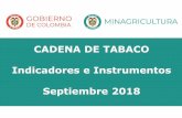 CADENA DE TABACO Indicadores e Instrumentos Septiembre 2018 · 2019. 6. 21. · El tabaco fire-cured, por lo general de un color más oscuro, se emplea principalmente en mezclas de