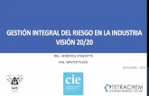 GESTIÓN INTEGRAL DEL RIESGO EN LA INDUSTRIA VISIÓN 20/20 · 2019. 8. 21. · Industrial Todas las áreas: Seguridad, Medio Ambiente, Salud e Higiene Industrial, Tecnología, Químicos