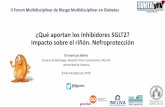 ¿Qué aportan los Inhibidores SGLT2? Impacto sobre el riñón ...svhta.net/web/sites/default/files/3 JL GORRIZ II Forum Multidisciplina… · Nefroprotección Dr Jose Luis Górriz
