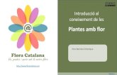 Introducció al coneixement de les€¦ · Introducció al coneixement de les Plantes amb flor Pere Barnola Echenique  Endavant >>