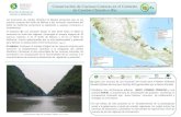 El portal único del gobierno. | gob.mx - Conservación de Cuencas … · 2019. 5. 14. · Consolidación del bosque mesófilo de Montaña en Zacualpan, Veracruz. Restauración Hidrológica-Ambiental