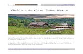 Guía y ruta de la Selva Negra - guiasyviajes.com€¦ · La Selva Negra es uno de los destinos de vacaciones preferidos de Alemania, muy apreciado por sus múltiples alternativas