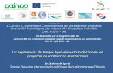 Las experiencias del Parque Agro-alimentario de Umbria en ... · con denominación de orígen y preparación del proyecto de esquema de certificación de: “Aceite extravirgen de