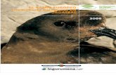 EL PAIÑO EUROPEO (Hydrobates pelagicus) EN URDAIBAI 2006 · 2016. 6. 24. · 2 Paíño europeo INTRODUCCIÓN El Paíño europeo (Hydrobates pelagicus) es un ave que pertenece a la