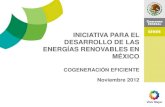 INICIATIVA PARA EL DESARROLLO DE LAS ENERGÍAS …b-dig.iie.org.mx/BibDig2/V12-0091/V12-0091.pdfproducción de gas natural •Diversificar las fuentes de energía, incrementando la