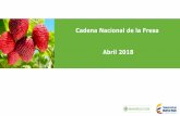 Presentación de PowerPoint - MinAgricultura · La Variedades que se siembra principalmente en Colombia Son: Camarrosa, Albión, Camino Real, Monterrey, San Andreas, Portola , Ventana