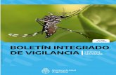 N°488 - Argentina · 488 Boletín Integrado de Vigilancia 9 Semana Epidemiológica 09/2020 ... 82 correspondieron al serotipo DEN-1 y 9 al serotipo DEN-2. En la mayor parte de las
