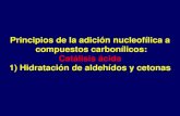Principios de la adición nucleofílica a compuestos ...depa.fquim.unam.mx/amyd/archivero/REVISIONGRUPOCARBONILO_29825.pdfconsiste en la adición nucleofílica catalizada con ácido