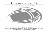 Fases en el desarrollo del grupo CAPÍTULO 5 · CAPITULO 5 121 C A P Í T U L O 5 Fases en el desarrollo del grupo TEMAS Y SUBTEMAS: 5.1 Etapas de desarrollo del grupo 5.1.2 Modelo