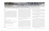 Guía para el diagnósco de laboratorio de enfermedad ...revistabioanalisis.com/images/flippingbook/Rev58 n/nota1.pdf · 8 23 min. En pacientes inmunocompro-medos la enfermedad fúngica