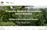 Programa Nacional de Incentivos SOCIO BOSQUE...Programa Nacional de Incentivos Socio Bosque Restauración y Reforestación Conservación Facilitación para la adjudicación de Tierras