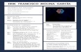 ERIK FRANCISCO MOLINA GARCÍAerikmolina.com/Curriculum-Erik-Molina.pdf · 2020. 2. 6. · ERIK FRANCISCO MOLINA GARCÍA Bachillerato Licenciatura en Administración de Tecnologías