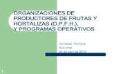 PROGRAMAS OPERATIVOS DE LAS ORGANIZACIONES DE …ñol.net/images/noticias/1_PROGRAMAS_OPERA… · ORGANIZACIONES DE PRODUCTORES DE FRUTAS Y HORTALIZAS (O.P.F.H.), Y PROGRAMAS OPERATIVOS-Las