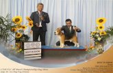 PowerPoint Presentation · 2018. 12. 11. · Breeders: Rosalinda F Kang & Mary Therese R Villanueva . BEST VETERAN 'N SHOW 175th All (Breed Championship Dog Show Judge: Liu Ching-Feng