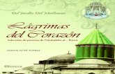 ESTAMBUL - 1431 / 2010 Del Corazon.pdf · 9 Alabado sea Allah el Altísimo, que nos ha bendecido a nosotros, sus siervos impotentes, con la alegría y la paz de la verdadera fe; paz