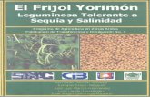 El Frijol Yorimón FRIJOL...frijol x-pelón en Yucatán, chícharo de vaca, frijol de cuerno, frijol tripa de gallina, frijol de chivo en Veracruz, sarabando en Tamaulipas, etc., nombres