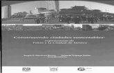 Universidad Nacional Autónoma de Méxicoru.iis.sociales.unam.mx:8080/jspui/bitstream/IIS/3505/1/Crisis... · La búsqueda de un desarrollo sustentable en la Ciudad de México: el