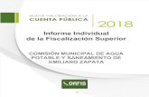 Informe Individual de la Fiscalización Superior · 2020. 1. 29. · CMAPyS EMILIANO ZAPATA INFORME INDIVIDUAL CUENTA PÚBLICA 2018 1. PREÁMBULO Este informe se presenta en cumplimiento