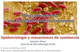 Antonio Oliver Servicio de Microbiología HUSE...Infecciones extrahospitalarias por bacterias multirresistentes . Microorganismo % Microorganismo ... - Derivadas de las beta-lactamasas
