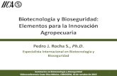 Biotecnología y Bioseguridad: Elementos para la Innovación … · 2015. 10. 21. · Biotecnología y Bioseguridad: Elementos para la Innovación Agropecuaria Pedro J. Rocha S.,