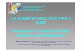 La Diabetes Mellitus tipo 2 (DM2).alacant3...LA DIABETES MELLITUS TIPO 2 (DM2) CREENCIAS Y PERCEPCIONES SOBRE LA ENFERMEDAD 1Angeles Vernet Cortes, 2Eulalia Villacampa Lavalle, 2Silvia