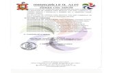 Presentación de PowerPointhuejuquillaelalto.com.mx/assets/cabildo.pdf · b) secretaria del estado, c) gobierno federal d) code jalisco. ... autorizaciÓn para apoyar a sofía pine-do