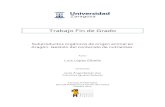Trabajo Fin de Grado - unizar.eszaguan.unizar.es/record/13487/files/TAZ-TFG-2014-030.pdf · 1.2. Cuantificación de residuos generados 4 1.3. Conocimiento actual de los subproductos