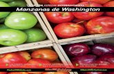 Manzanas de Washington - abpm.org.br€¦ · El CAlIBRE dE mAnzAnAs dE WAshIngton Fotos: Washington Apple Commission Las manzanas están dimensionadas de acuerdo con el número aproximado