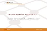 TELEVISIÓN DIGITAL - Ontsi · TELEVISIÓN DIGITAL 3 Índice PUNTOS CLAVE 5 1. INTRODUCCIÓN 9 2. PANORAMA DE LA TELEVISIÓN DIGITAL 10 2.1. La doble vertiente de la televisión 10