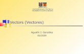 Vectors (Vectores) - Departamento de Electrónicaprofesores.elo.utfsm.cl/~agv/elo329/1s09/lectures/C++/vectors.pdf · De la biblioteca de plantillas estándares de C++ C++ (standard